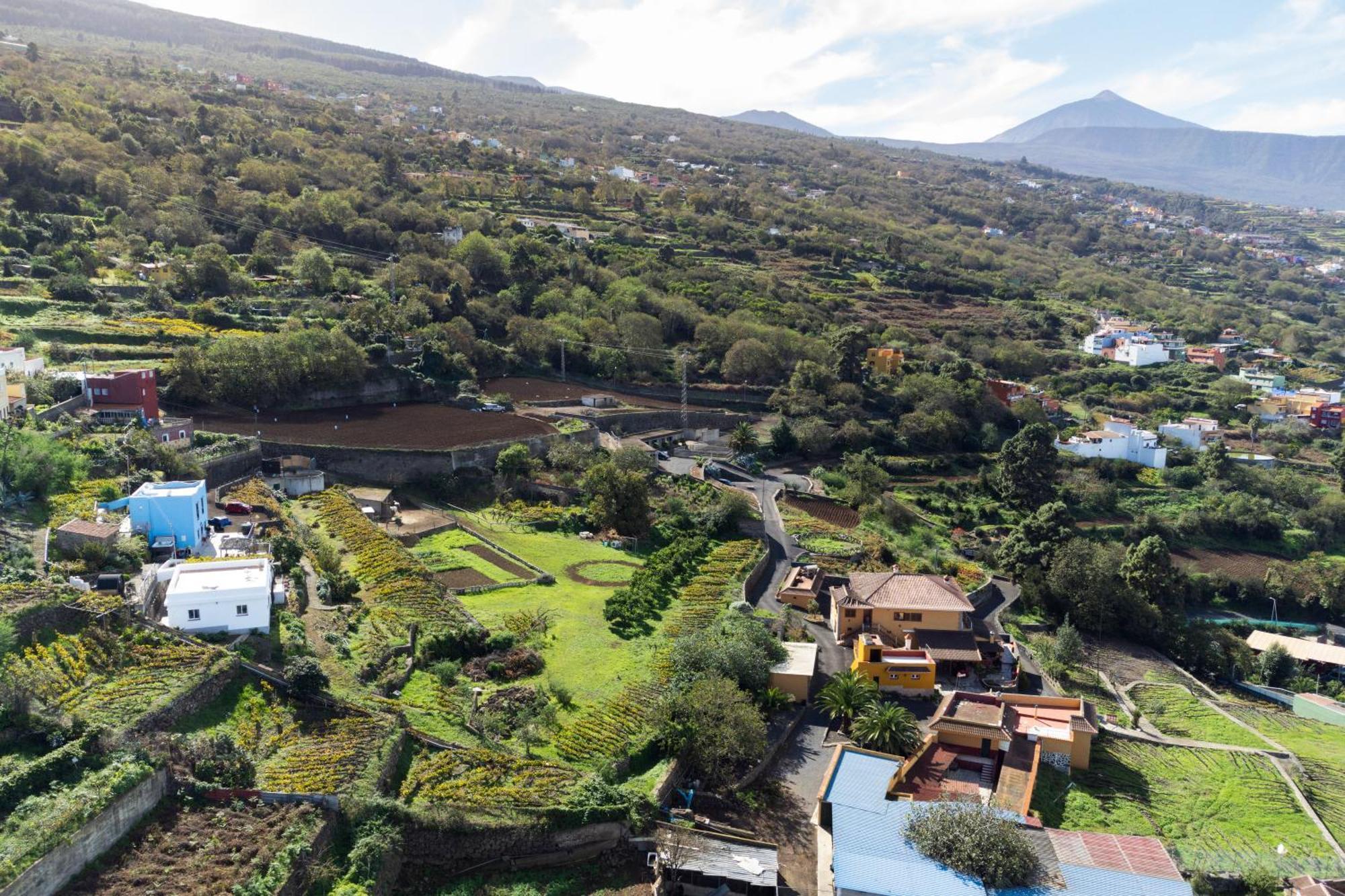 Ek Teide Finca El Milagro La Orotava Luaran gambar