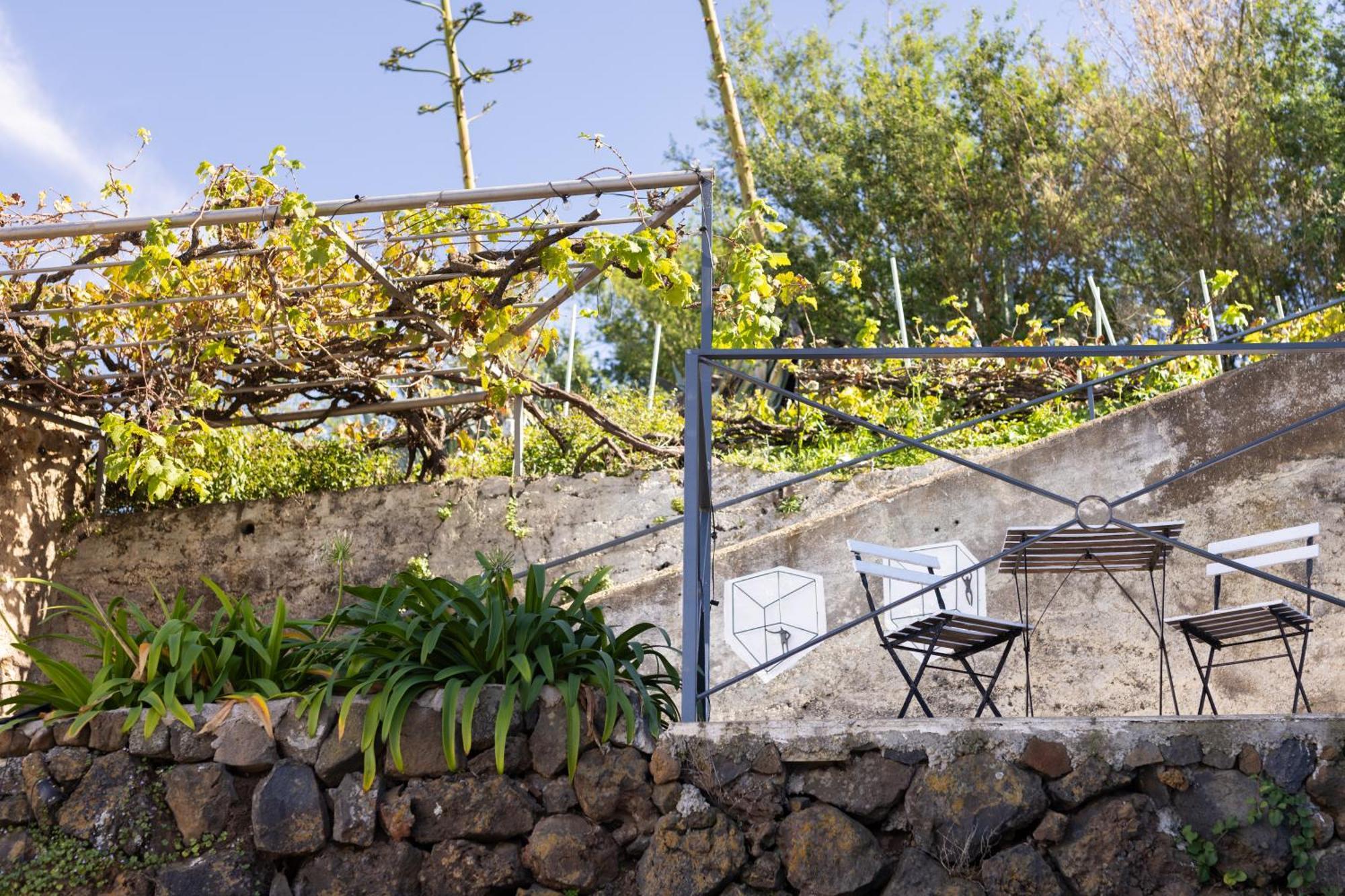 Ek Teide Finca El Milagro La Orotava Luaran gambar