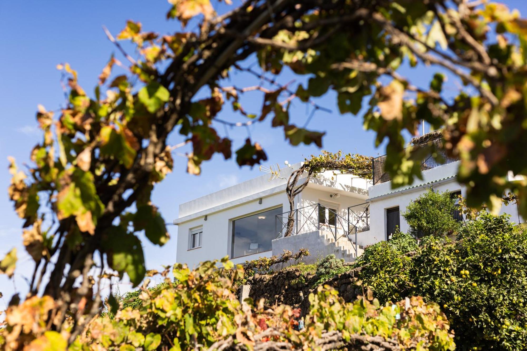 Ek Teide Finca El Milagro La Orotava Luaran gambar